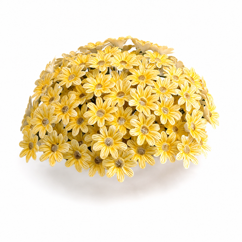 Handmade Ceramic Daisy Flower Stem (10pc)